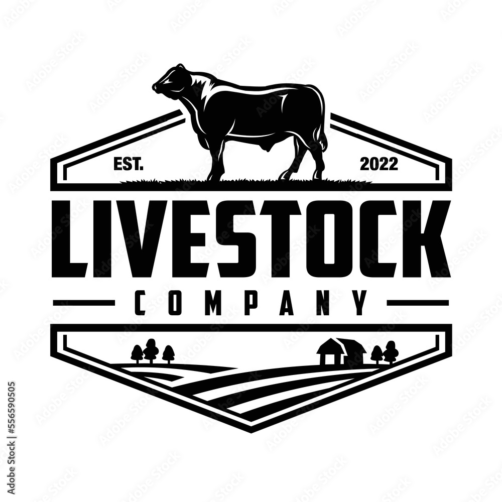 Livestock company logo vector. Cattle ranch premium logo design vector isolated - obrazy, fototapety, plakaty 