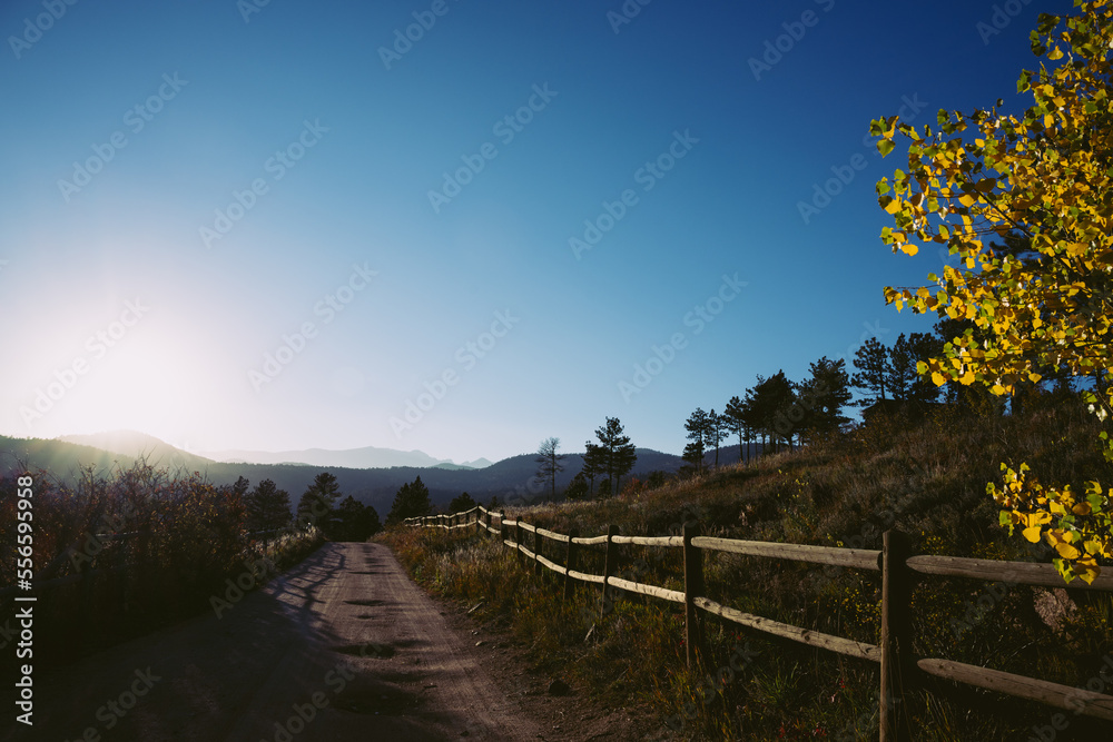 Landscape of dirt road in the Colorado Rocky Mountains with sun shining through trees and wooden fence