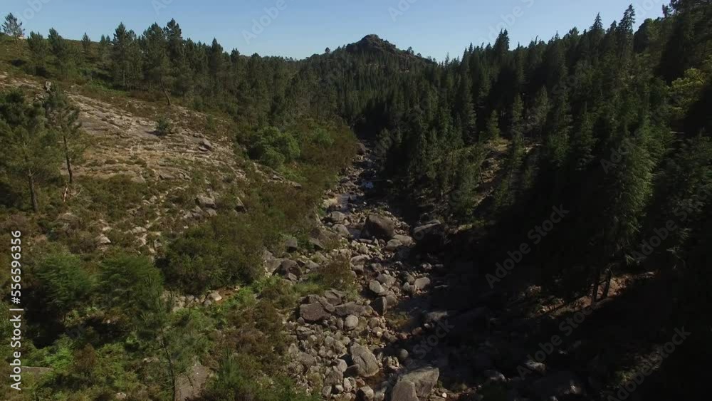 Aerial A Mountain Stream and Forest 02 Aerial A Mountain Stream and Forest 02