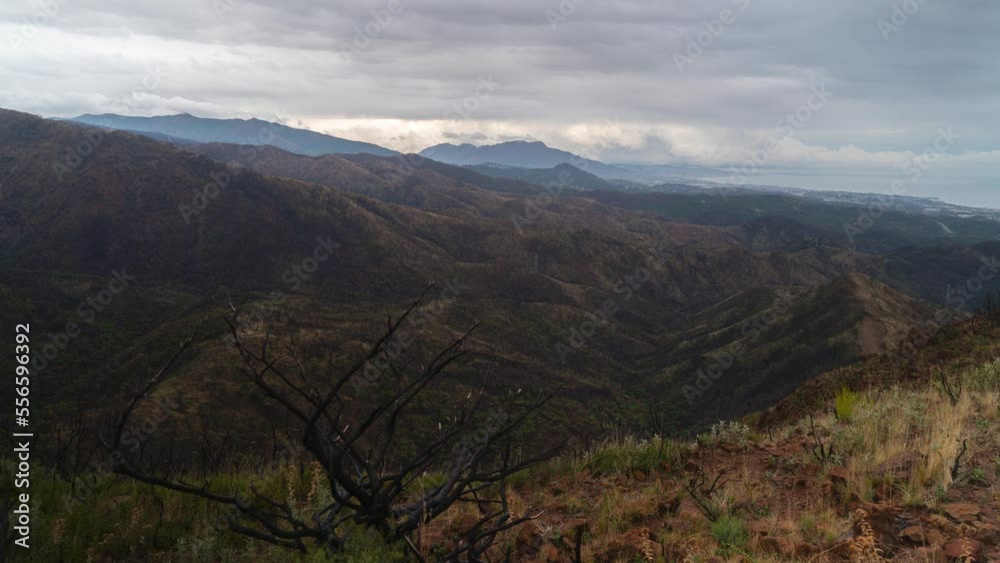 Mountain ranges and flowing clouds in Spain. Dead tree in foreground Mountain ranges and flowing clouds in Spain. Dead tree in foreground