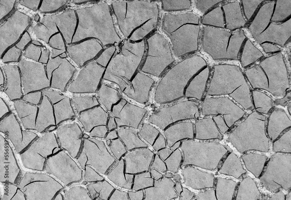 Obraz premium Close up weathered texture of arid cracked ground