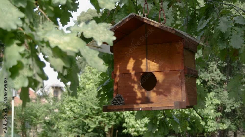 Cute free-hanging wooden birdhouse lit by the sun. Swinging birdhouse hanging on oak tree. Cute free-hanging wooden birdhouse lit by the sun. Swinging birdhouse hanging on oak tree.