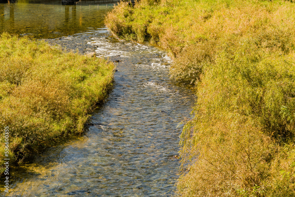 Shallow river flowing through tall grass Shallow river flowing through tall grass