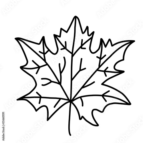  Leaf Sketch Doodle