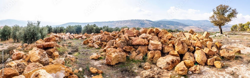 شجرة الامنيات وحجارة القلعة - الاردن- Wish tree with fort stones- Jordan شجرة الامنيات وحجارة القلعة - الاردن- Wish tree with fort stones- Jordan