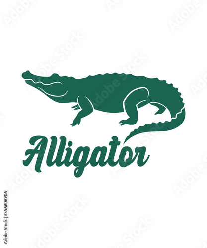 Fanny alligator lover theme  slogan graphics  and illustrations with patches for t-shirts and other uses.