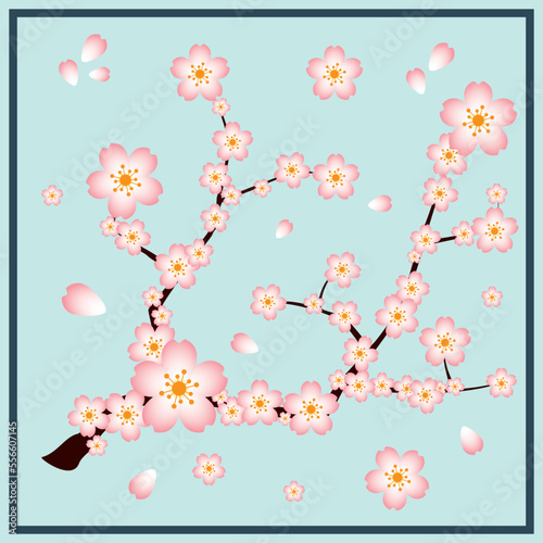 A beautiful abstract design for scarf and shawl with sakura flowers or cherry blossom flowers. it can be used for silk scarves, printed scarves, cotton scarves, chiffon scarves. cherry blossom vector.