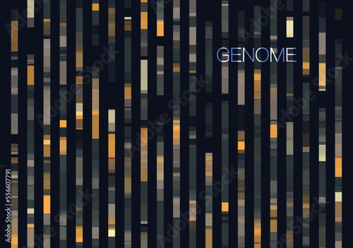 DNA genomic test, genome map.