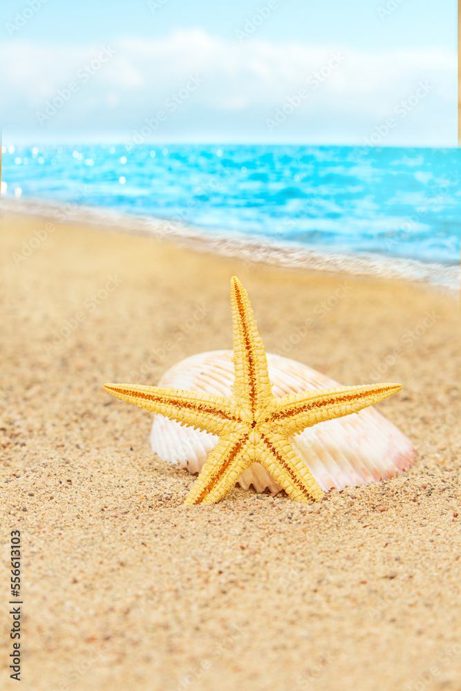 Orange starfish with shell on seashore on sand. Behind Waves. Vacation, beach, travel. Vertical. Copy space Orange starfish with shell on seashore on sand. Behind Waves. Vacation, beach, travel. Vertical. Copy space