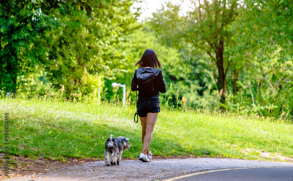 Girl with a dog walking on the road in the Park
Girl with a dog walking on the road in the Park