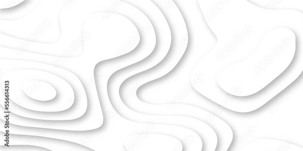 Abstract Luxury paper cut background, Abstract decoration, white pattern lines gradients, 3d Vector illustration, topographic canyon map light relief texture, curved layers. Abstract Luxury paper cut background, Abstract decoration, white pattern lines gradients, 3d Vector illustration, topographic canyon map light relief texture, curved layers.