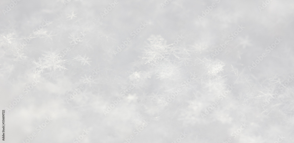Small white snowflakes in winter as a background.