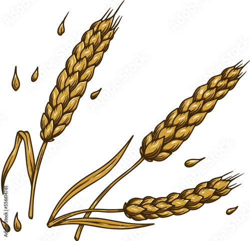 Illustration of wheat spikelet in engraving style. Design element for card, banner, menu. Vector illustration