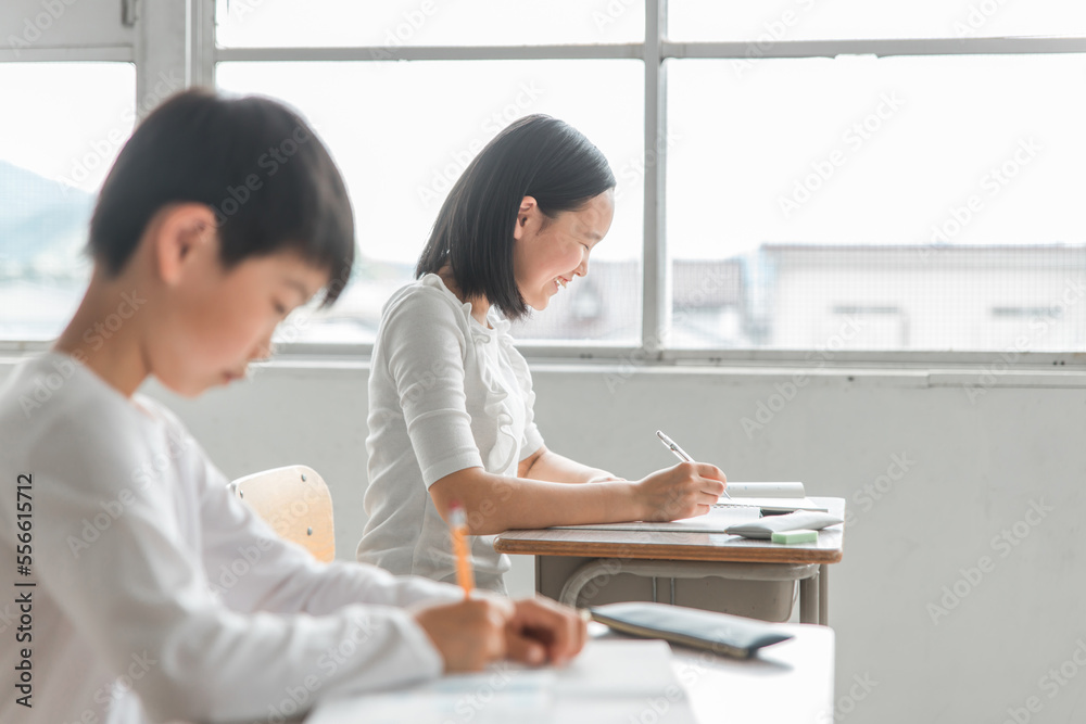 学校の教室で勉強する小学生の男女(笑顔・女子・授業・教育)
学校の教室で勉強する小学生の男女(笑顔・女子・授業・教育)