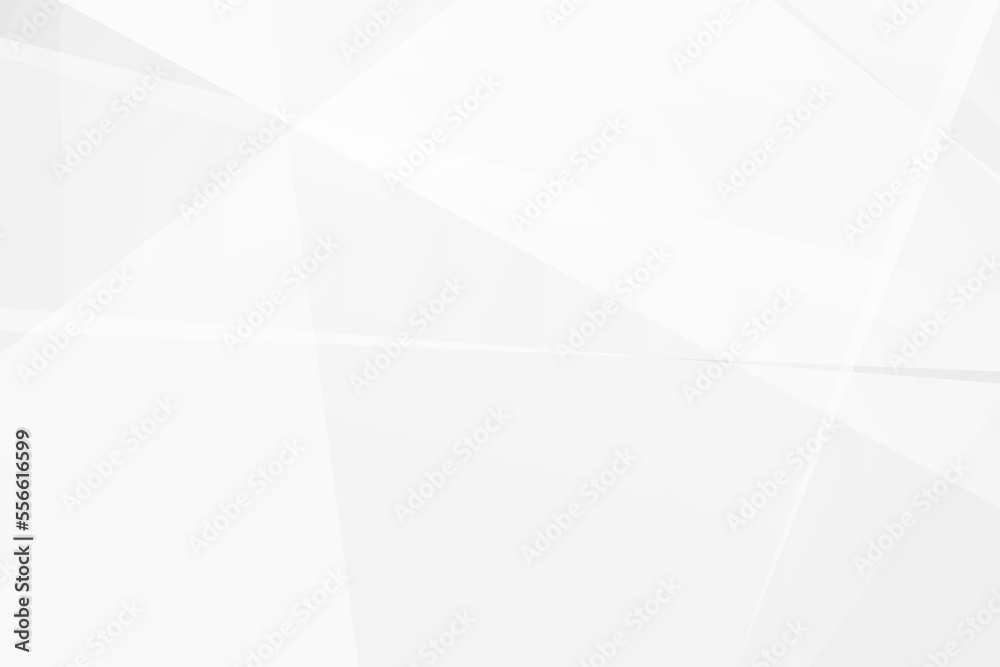 Fototapeta premium Abstract white and grey on light silver background modern design. Vector illustration EPS 10.