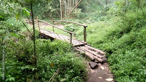 a traditional bamboo bridge in the middle of the forest