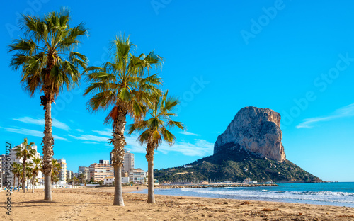 Obraz na płótnie Calpe, beach, palm tree and mountain- Alicante province in Spain
