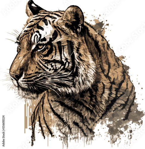 Watercolor Tiger illustrate