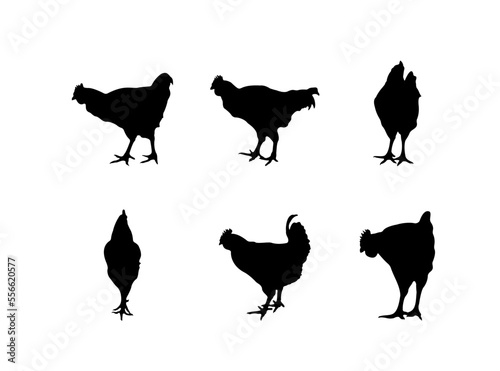 Collection of black silhouettes chickens
