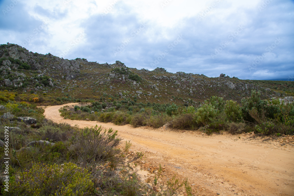 Gravel road near Porterville in the Western Cape of South Africa Gravel road near Porterville in the Western Cape of South Africa