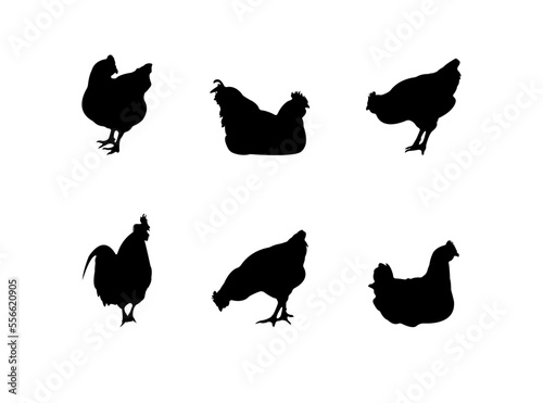 Collection of black silhouettes chickens