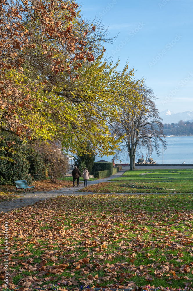 Naklejka premium balade au parc en automne