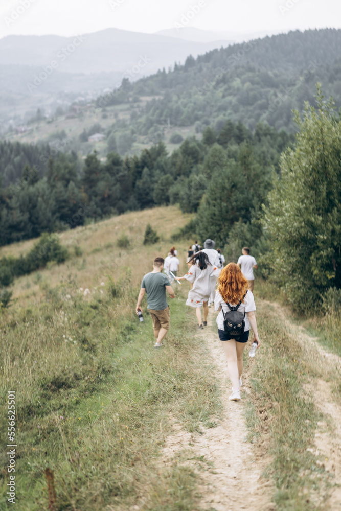 A group of people walking on the green grass in the mountains on a sunny day