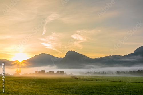 Germany, Bavaria,Rural landscape at foggy sunrise