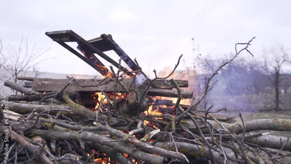 Burning cut tree branches, debris and boards in the fall in the backyard of the house. Burning cut tree branches, debris and boards in the fall in the backyard of the house.