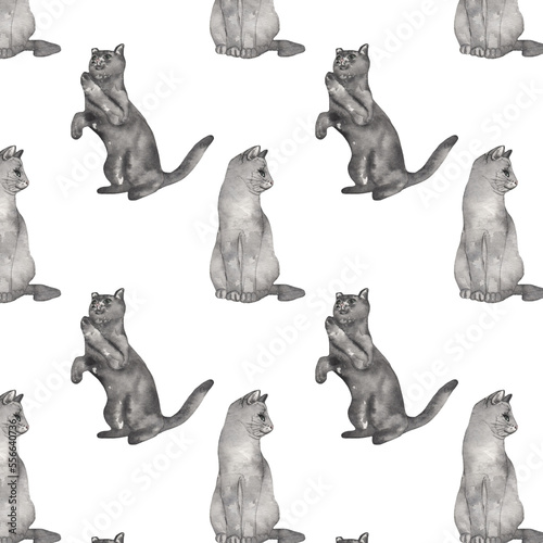 Cute cat pattern. Watercolor hand-drawn cat isolated on white background.Animal print