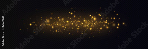 Light effect. Background of sparkling particles. Glittering elements on a transparent background.