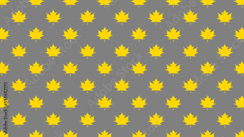 pattern of yellow maple leaves on a gray background. template for application to the surface. Horizontal image. Banner for insertion into site.