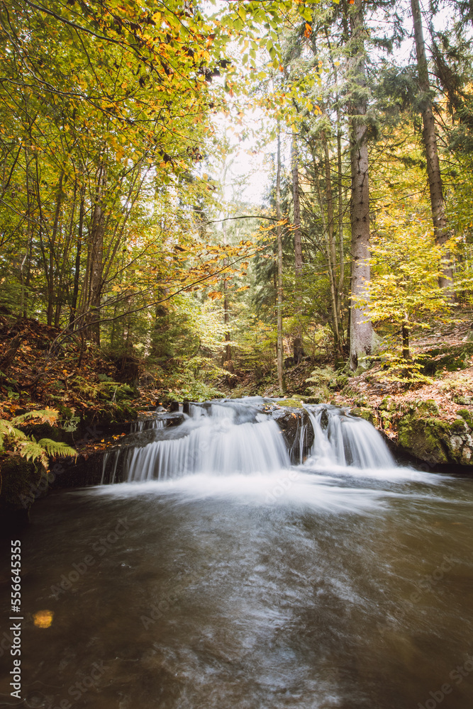 Long exposure of a lost river in a nature reserve surrounded by fallen colourful leaves and old deciduous trees in autumn. Stare hamry, Beskydy mountains, Czech Republic Long exposure of a lost river in a nature reserve surrounded by fallen colourful leaves and old deciduous trees in autumn. Stare hamry, Beskydy mountains, Czech Republic