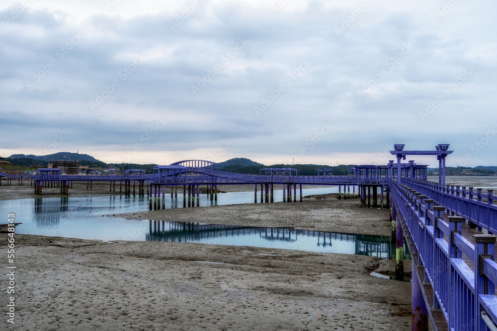 Sinan purple islands in winter