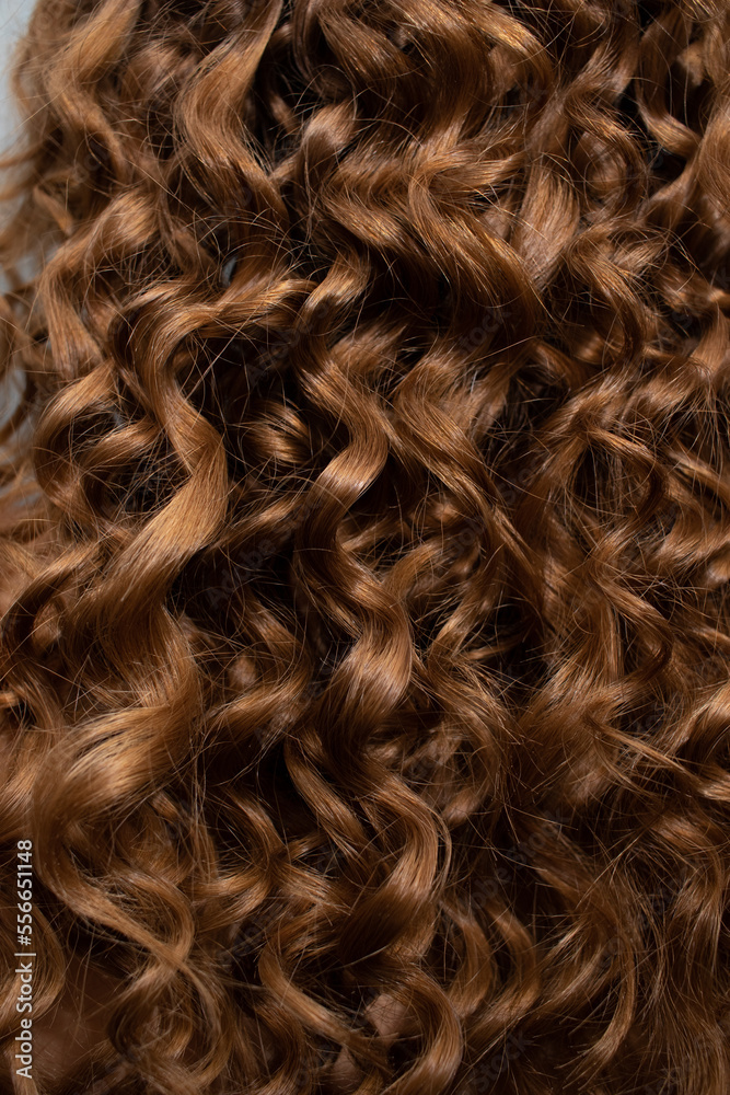 Long curls on the head of the Light brown woman back view Long curls on the head of the Light brown woman back view