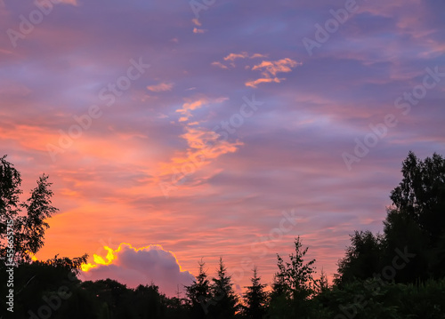 Grass meadow in sunset light. Scenic nature view. Summer evening in countryside.