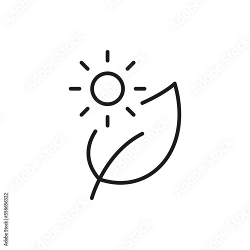 Sun and leaf. Photosynthesis icon line style isolated on white background. Vector illustration