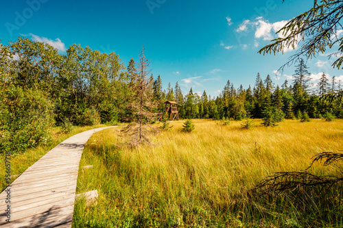 Mountain landscape in Slovakia mountains, Juranova dolina - valley in The Western Tatras national park, oravice, Orava region. Educational trail through the bog photo