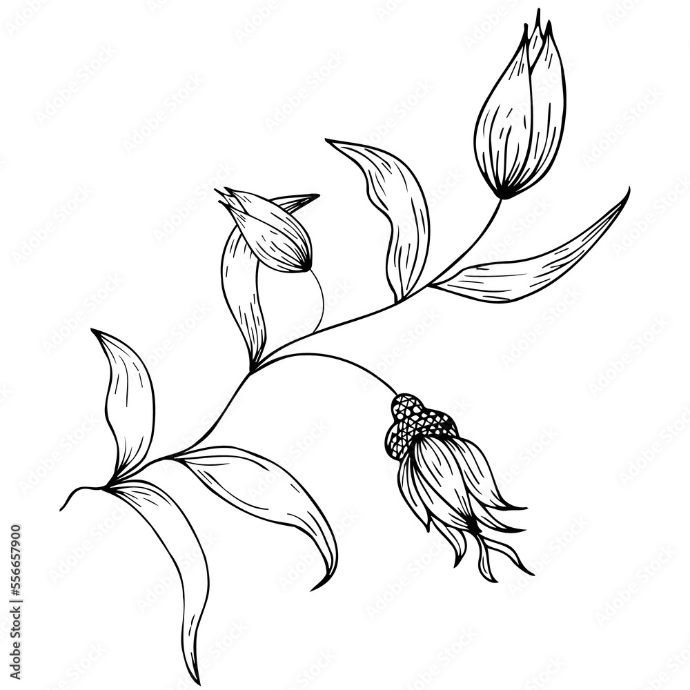 Floral composition, floral background with tender flowers and branches