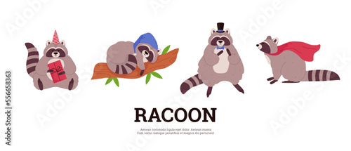 Set of raccoons in various costumes flat style  vector illustration