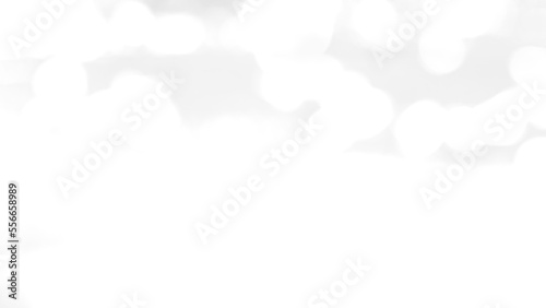 abstract background starlings and local white birds walking around rice fields blurred black and white gradient organic food rural landscape agriculture animal beautiful bird farming season fresh 