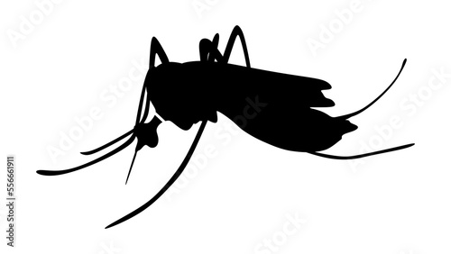The best Mosquito icon, vector illustration in trendy design style, isolated on white background. Editable graphic resources for many purposes. Mosquito silhouette. © Fasih Abdullah