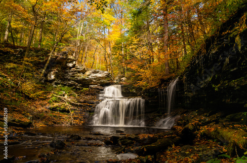 Fototapeta Naklejka Na Ścianę i Meble -  R.B. Ricketts Falls in Ricketts Glen State Park on an Autumn day. The water is smoothed and surrounded by Fall colored trees.
