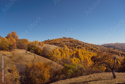 beautiful autumn landscapes in the Romanian mountains  Fantanele village area  Sibiu county  Cindrel mountains  Romania