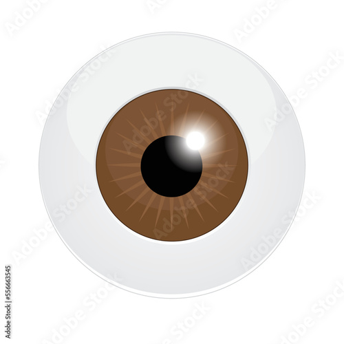 Brown human eyeball isolated on a white background