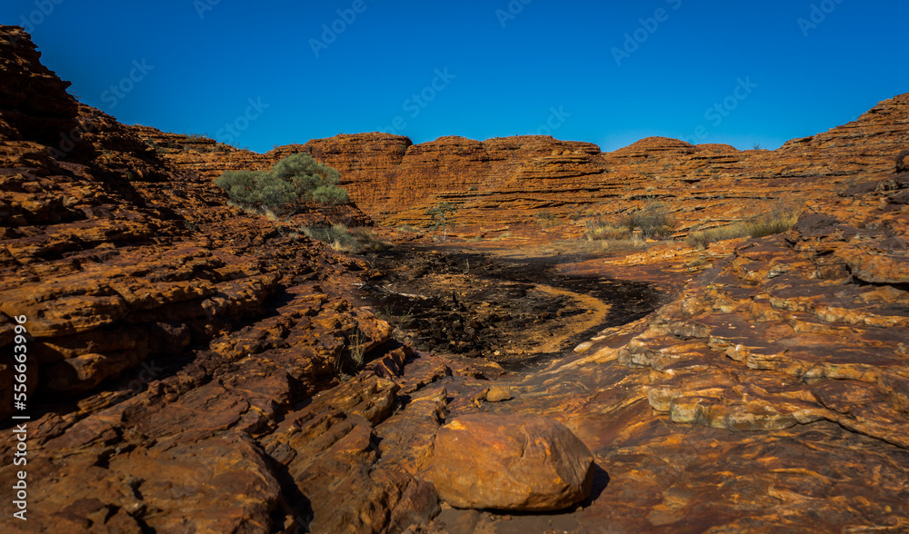 Fototapeta premium surrounded by red stones 