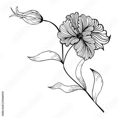 Wallpaper Mural Floral composition, floral background with tender flowers and branches of buds. Hand drawing. For stylized decor, invitations, cards, posters, flyers, for printing on fabric and paper, for backgrounds Torontodigital.ca