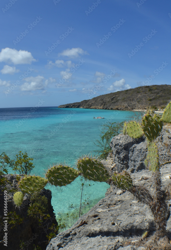 the beautiful beaches of the island of Curaçao in the caribbean sea