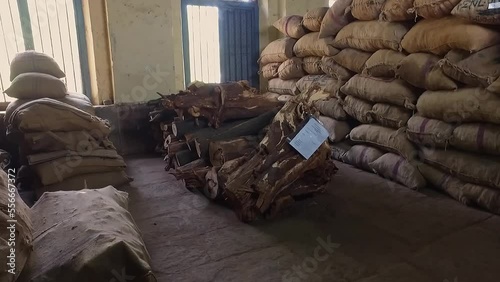 Closeup of sandalwood stored inside the mysore sandal soap factory photo