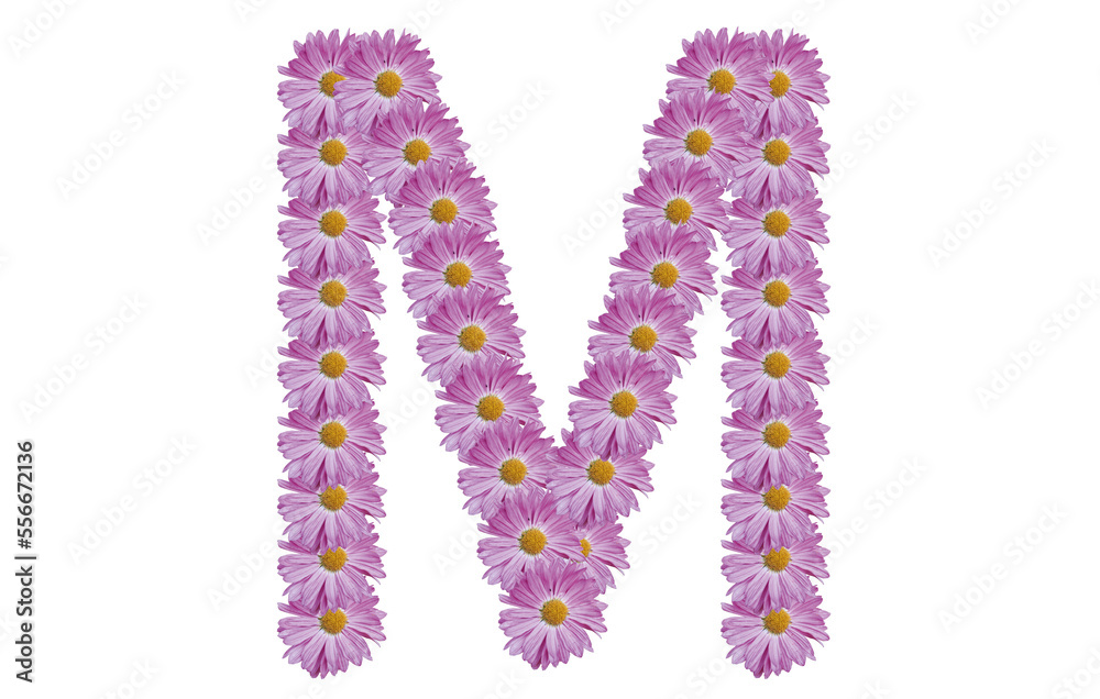 Letter M made with pink flower isolated on white background. Spring concept idea.
